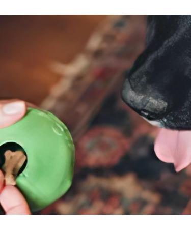 BecoThings Dog Toy Ball - Eco-Friendly Medium Green Dog Toy for Interactive Play - Buy Online on GoSupps.com