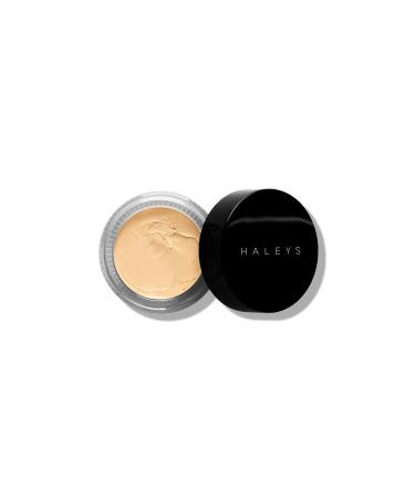 HALEYS RE:VEAL Mousse Makeup (2.50) Vegan  Cruelty-Free Whipped Foundation - Even Skin Tone and Cover Imperfections with Buildable Coverage for a Smooth  Natural Complexion.