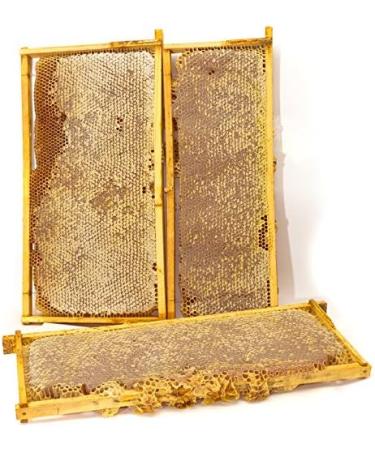 The ImkerPur honeycomb with acacia honey 2.2 kg in a traditional wooden frame enhances any buffet not only in restaurants or hotels - Buy Online on GoSupps.com