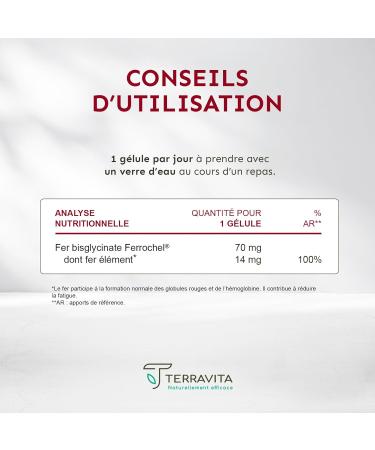 Pure Bisglycinate Iron 14 mg | Anti-Fatigue Food Supplement | Ferrochel High Absorption Patented Iron | 3 Month Cure Without Digestive Disorders | 90 Vegetable Capsules | Made in France | Terravita - Buy Online on GoSupps.com