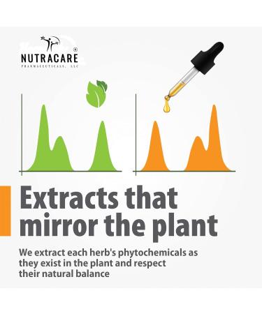 Buy Passiflora Q Homeopathic Mother Tincture - Passionflower (2.0 Fl Oz) | International Shipping from USA - Buy Online on GoSupps.com