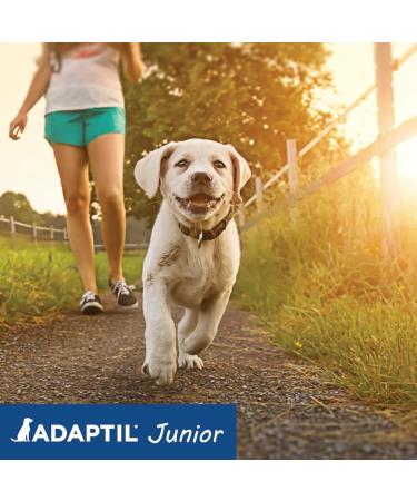 ADAPTIL Junior Calming Collar for Puppies - Reduce Crying & Whining and Improve Focus & Learning Dog Appeasing Pheromone Collar - (Puppy Calming Collar 1 Month Single Pack) - Buy Online on GoSupps.com
