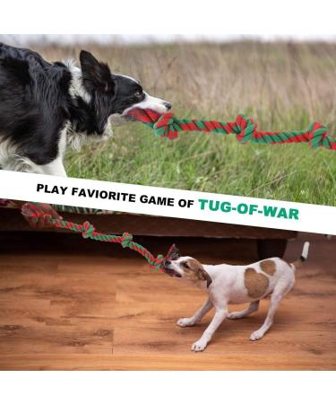 RIO Direct Dog Rope Toys Durable Dog Rope Chew Toys Set for Aggressive Chewers Interactive Cotton Rope - Avoid Boredom and Anxiety - Best Gift for Medium to Large Breeds (4Pack) Mixed-colour - Buy Online on GoSupps.com