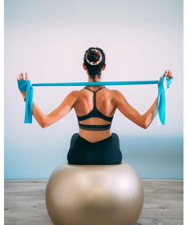 Sizobi Bird Nest Magic Hair Clip for Women - Zabernim Hair Holder & Ponytail Accessory - Buy Online on GoSupps.com