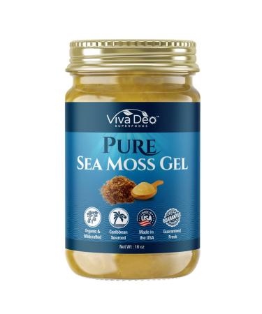 Viva Deo Pure Sea Moss Gel - Chondrus Crispus - Raw, Wildcrafted Organic Sea Moss Gel - Fresh, Made in The USA - Irish Moss for Skin, Hair - Dr Sebi Inspired - (Unflavored, 16 oz.) Unflavored 16 Ounce