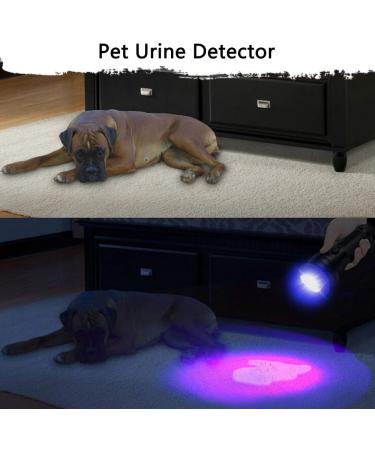 UV Flashlight - 51 LED Black Light for Amber Geocaching Pet Urine Detection & More - 395nm Ultraviolet Lamp - Buy Online on GoSupps.com