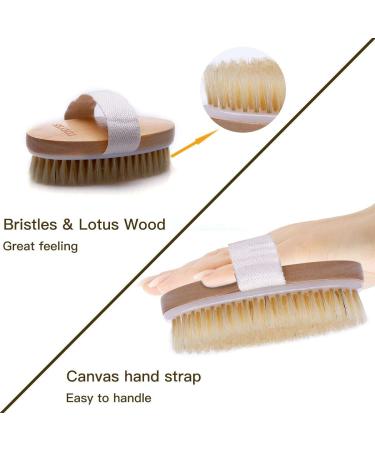 Shampoo Brush Set - Silicone Hairbrushes & Scalp Massager - Body Brush for Blood Circulation - Perfect Gift in Green - Buy Online on GoSupps.com