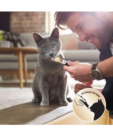 Sheba Creamy Snacks for Cats - Beef Flavored Licking Sticks (80 x 12g) - 20 Pack - Ideal Treat for Cat Lovers - Buy Online on GoSupps.com