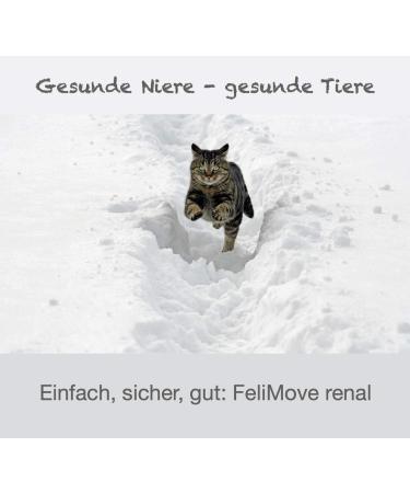 FeliMove Renal (60 ml) - Supplementary Feed for Cats | Supports Kidney Function | International Shipping Available - Buy Online on GoSupps.com