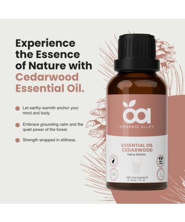 Cedarwood Essential Oil by Organic Alley | 100% Pure Undiluted and Natural Cedrus Atlantica Oil | Use for Skin Hair Stress Body Balance Relaxation & Diffusers (1 Fl Oz) - Buy Online on GoSupps.com