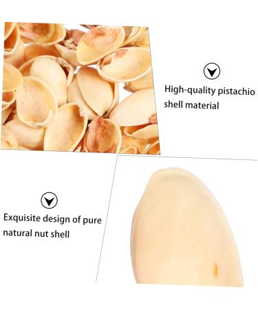 COHEALI 1 Pistachio Shell Kids Crafts Kids DIY Craft Charms Material DIY Accessory Child Decorate Self Made As Shown 2X1.2CM - Buy Online on GoSupps.com