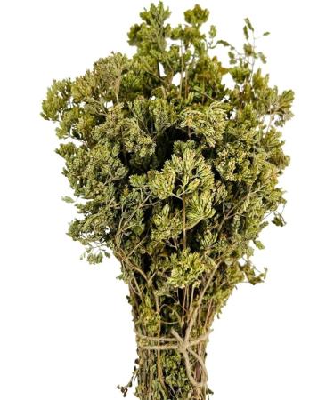 Oregano bunch organic wild sun dried from the Greek mountains 50g whole oregano bunch dark green with leaves and stems
