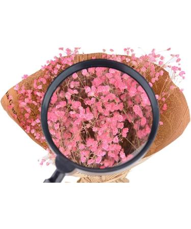 Outdoor Handheld Magnifying Glass Reading Books Magazine Imaging HD 10 Times Expansion Mirror Made in China - Buy Online on GoSupps.com