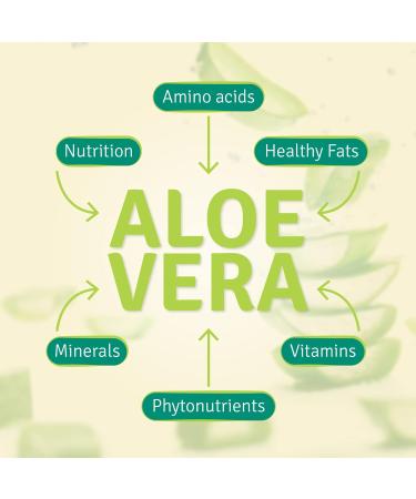 Aloe Life - Whole Leaf Aloe Vera Juice Certified Organic with Trace Minerals Gluten-Free (Aloe Gold 16 oz) - Buy Online on GoSupps.com