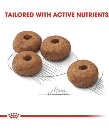 Royal Royal Canine Adult Sterilised Medium 10kg 10000g - Buy Online on GoSupps.com