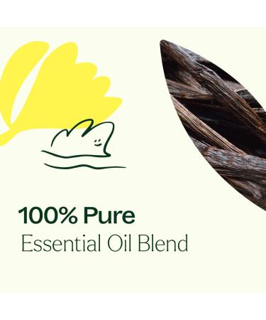 Plant Therapy Love Vanilla Essential Oil Blend 10 mL (1/3 oz) 100% Pure Undiluted Aromatherapy Create a Romantic Mood Sweet & Sultry Aroma - Buy Online on GoSupps.com