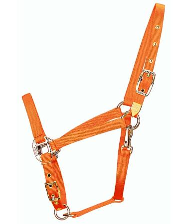 Hamilton 3/4-inch Nylon Arabian Horse Waller with Adjustable Chin and Throat Snap Average 800 to 1100 Pounds Mango Average 800 To 1100 Pounds Mango