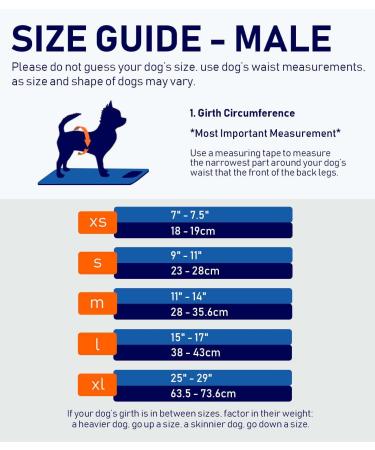 Micoooyo Washable Abdominal Bandage for Male | Reusable Dog Diapers | Suctionable Dog Wrap with Adjustable Closure | Medium (3-Pack) - Wild Africa 33-40.6cm Waist - Buy Online on GoSupps.com