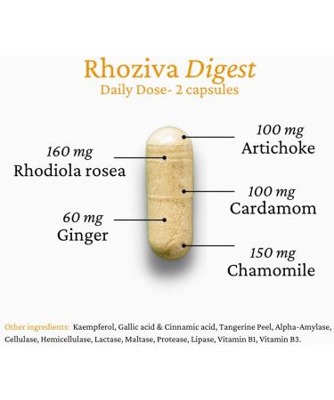 Rhoziva Digest. Gut Health Supplement with Digestive Enzymes for Women and Men. Supports Healthy Digestion Reflux Bloating. 60 Capsules - Buy Online on GoSupps.com