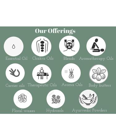 Deve Herbes Pure Senna Leaf Powder (Cassia angustifolia) Natural Therapeutic Grade for Skin - 200gm (7.05 oz) - Buy Online on GoSupps.com