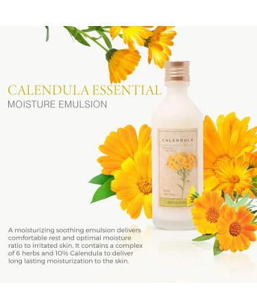 Face Shop Calendula Essential Moisture Emulsion - Moisturizing & Soothing Daily Skincare for Irritated Skin 5.0 Fl Oz - International Shipping Available - Buy Online on GoSupps.com