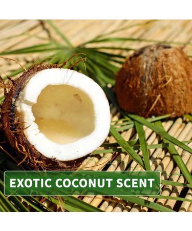 KitaMa Coconut Massage Oil - Nourishing Aroma Body Oil for Relaxation - 5L (5000ml) - Buy Online on GoSupps.com