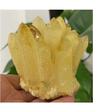 Natural Crystal Rough Crystal Cluster Natural Citrine Phantom Quartz Crystal Cluster Specimen (Size : 750-800g) - Buy Online on GoSupps.com