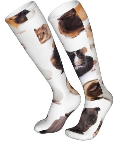 Guinea Pig Compression Socks for Men & Women | 15-20 mmHg Support for Running & Cycling - Buy Online on GoSupps.com
