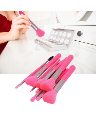 Cosmetic Brush Portable Professional Cosmetic Brush 10pcs Eyeshadow Brush for Travel Use for Home Use - Buy Online on GoSupps.com