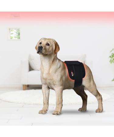 USUIE Red Light Therapy Belt - Infrared LED Device for Pain Relief, Weight Loss - Flexible Wrap with Timer for Back, Shoulder, Waist - Great Gift for Men and Women - Buy Online on GoSupps.com