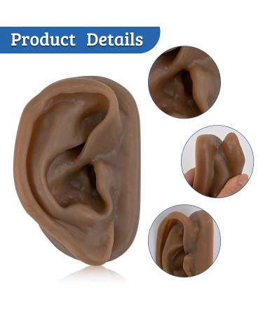SimCoach Acupuncture Ear Model - Right Artificial Auricular Therapy Teaching Replica (Black) - Buy Online on GoSupps.com