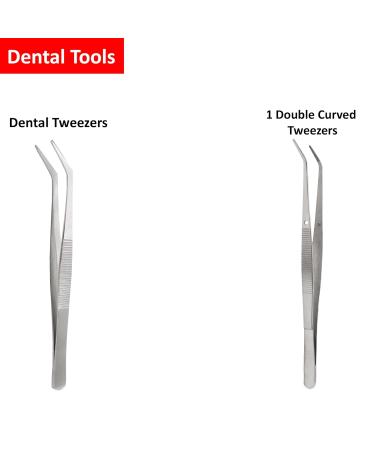 Buy STELLMACHER 8 Pcs Dental Tools - Professional Stainless Steel Teeth Cleaning Kit | Plaque Remover & Tartar Cleaner for Dental Hygiene | International Shipping Available - Buy Online on GoSupps.com