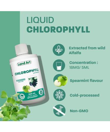 Liquid Chlorophyll Apple 500ml Cold Extracted from Non-GMO Alfalfa - Detox - Alkaline - Natural Body Deodorant Antioxidant - Made in Canada - Buy Online on GoSupps.com
