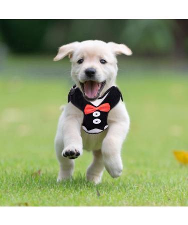 Nobleza Small Dog Harness and Cat Leash Set with Bowtie | Adjustable Metal Clip | Breathable Air Mesh for Puppies, Kitties, Small Dogs, and Cats - S Size (Chest Girth 9-16.5) - Buy Online on GoSupps.com