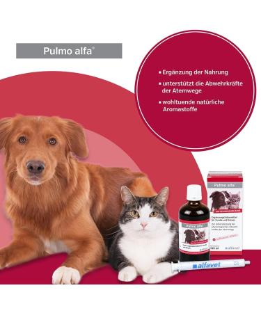 Alfavet Pulmo Alfa - 100ml Respiratory Support Juice for Dogs & Cats | Supplementary Feed with Dosing Syringe - International Shipping Available - Buy Online on GoSupps.com