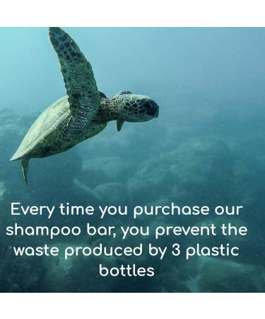 Coconut Oil & Raspberry Bar Shampoo for Normal Hair | Rich Foam, Sulfate-Free | Zero Waste, Vegan, Eco-Friendly | 3.53 Oz - Buy Online on GoSupps.com