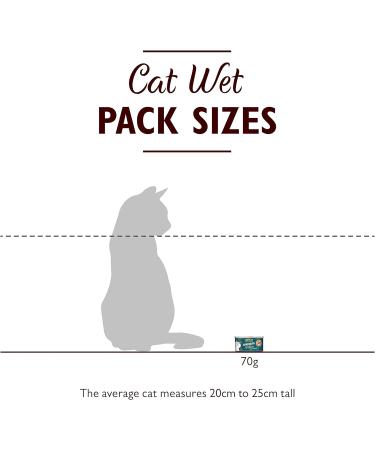 Lily's Kitchen Wet Cat Food 24 Pack - Tuna & Salmon Shredded Fillets (70g each) | Premium Grain-Free Cat Food for Healthy Pets - Buy Online on GoSupps.com