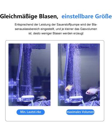Boxtech Aquarium Air Stone Kit - Nano Bubble Stone with Control Valve | Super-Quiet High Diffuser for Aquariums & Hydroponics (35mm) - Enhance Dissolved Oxygen & Create Tiny Bubbles - Buy Online on GoSupps.com