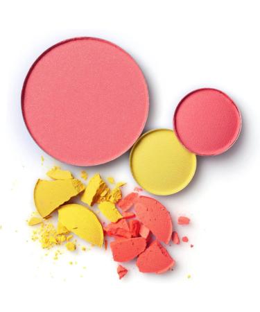 50pcs Eye Shadow Disk Eyeshadow Containers Empty Oil Paint Empty Eyeshadow Pan Eyeshadow Empty Tray - Buy Online on GoSupps.com