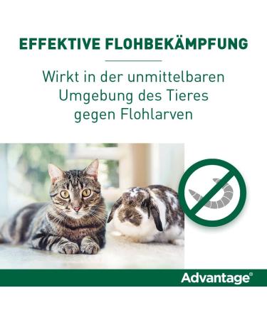 Elanco Advantage Spot-on 40 for Small Cats & Rabbits - Flea Protection 4 Pipettes Easy Application - Buy Online on GoSupps.com