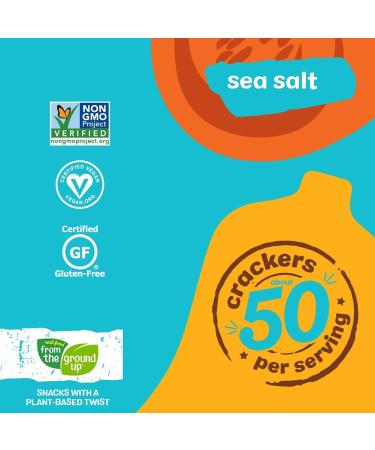 Real Food From the Ground Up Cauliflower & Butternut Squash Crackers - 6 Pack (Sea Salt Butternut Squash) - Buy Online on GoSupps.com