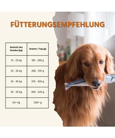 Wildfang Dry Dog Food - Grain Free Dog Food - Salmon with Trout Sweet Potato and Asparagus | Ideal for Large Dogs (6kg) - Buy Online on GoSupps.com