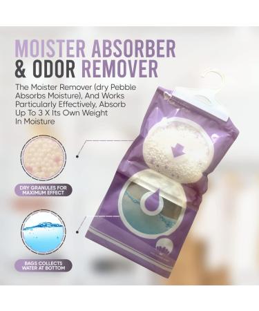 TO Wardrobe Dehumidifier Hanging Bags - 6 x 190g | Mould Prevention, Disposable Dehumidifiers for Window, Caravan, Home & Kitchen | Lavender Scent | Damp Absorber - Buy Online on GoSupps.com