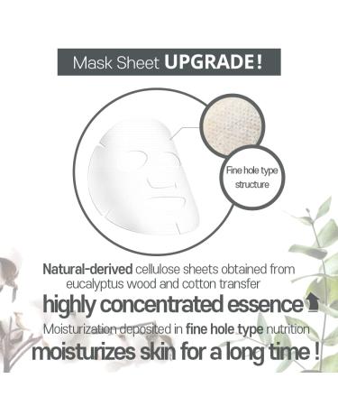 Nature Republic Real Nature Mask Sheet (14 Types) - Korean Face Mask Pack with Natural Plant Extracts (Pack of 14) - Buy Online on GoSupps.com