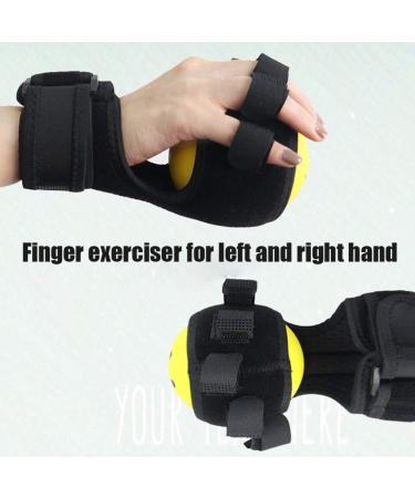 Hand Grip Ball Finger Exerciser Ball Elastic for Increase Flexibility for Relieve Joint Pain for Prevent Stiffness for Improves Strength - Buy Online on GoSupps.com