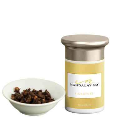 Room Diffuser Refill - Scent Capsule - Luxury Hotel Scent - Waterless Air Freshener - Coconut Pineapple Banana Clove - Signature Scent