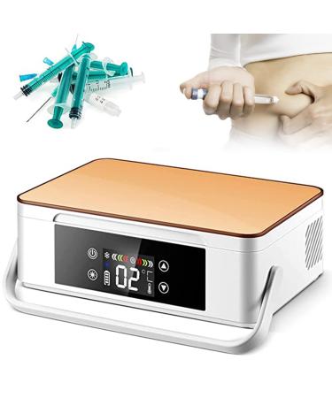 Insulin Refrigerated Box Portable Insulin Cooler Case Car Refrigerators Case Cooler 2-8 Thermostat Drug Reefer Suitable for Travel Airplane Champagnegold-220V-Battery*2