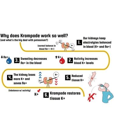 Krampade 2.0 2K Zero Sugar Electrolyte Drink Powder | Cramp Relief with Magnesium & Potassium | Faster Recovery & Hydration | 20 Packets (Lemon-Lime) - Buy Online on GoSupps.com