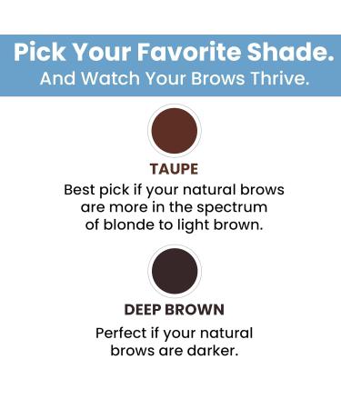 PrimeBrow Complete: 3-in-1 Eyebrow Care for Mature Women - Tints Shapes & Growth Serum in Taupe | Shop Internationally - Buy Online on GoSupps.com