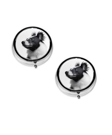 Skunk Printed Mini Round Pill Box Pill Box 3 Compartment Medicine Pill Case Pill Organizer Travel Pillbox Portable Pill Box for Pocket Home Office Use